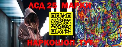 дмт Владимир