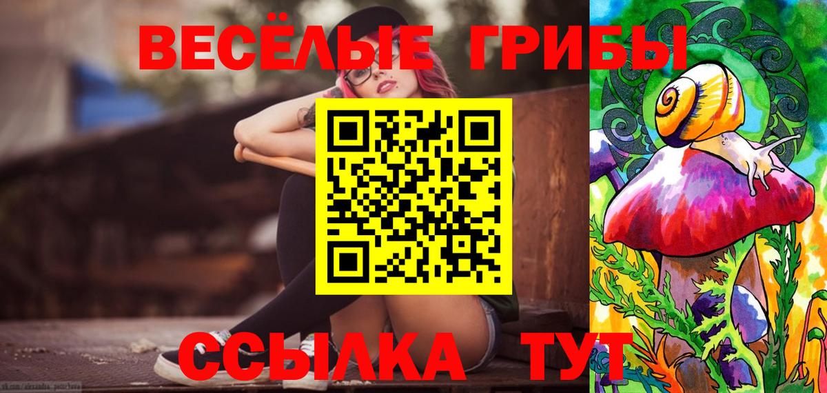 LSD-25 Владикавказ